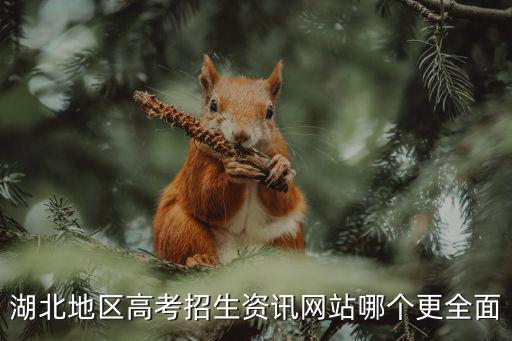 湖北地區高考招生資訊網站哪個更全面