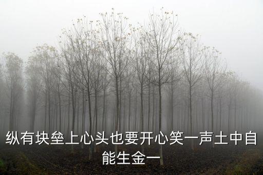 縱有塊壘上心頭也要開心笑一聲土中自能生金一