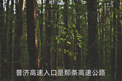 棗石高速，棗石高速怎么賠償站了山林土地怎么賠償