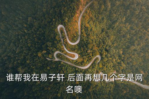 易子軒，誰幫我在易子軒 后面再想幾個字是網名噢