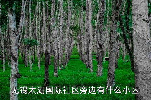無錫太湖國際社區，無錫太湖國際社區的房子好嗎