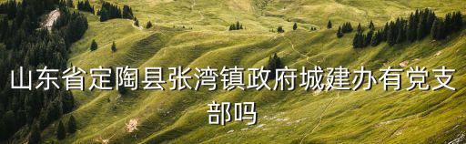 山東省定陶縣張灣鎮政府城建辦有黨支部嗎