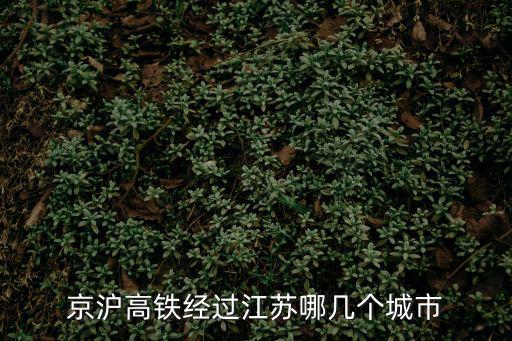 江蘇高鐵線路圖，從福建莆田到江蘇南京泰州要怎么去 做動車的路線 要去哪里做  搜