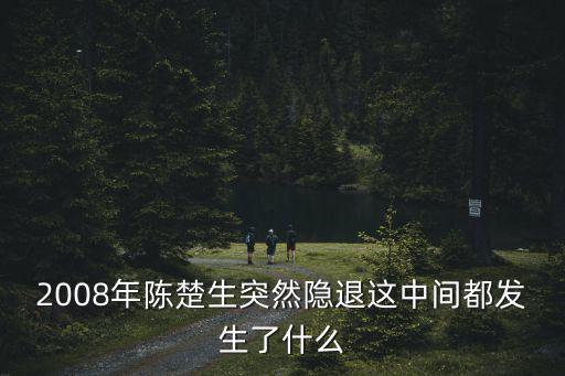 2008年陳楚生突然隱退這中間都發生了什么