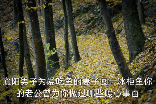 襄陽男子為愛吃魚的妻子囤一冰柜魚你的老公曾為你做過哪些暖心事百