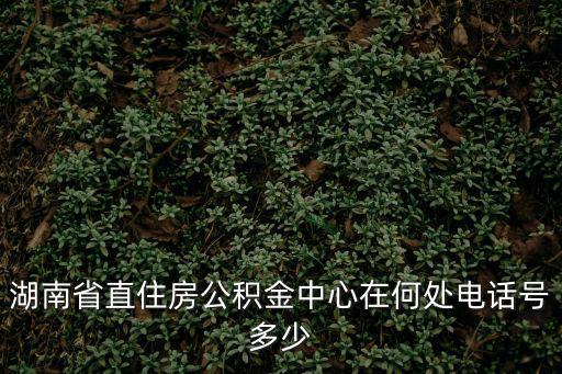 湖南省公積金中心，湖南住房公積金查詢