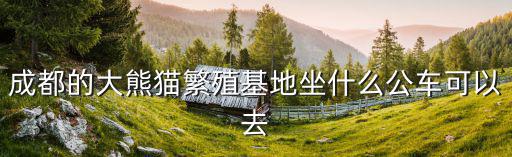 熊貓公交，成都的大熊貓繁殖基地坐什么公車可以去