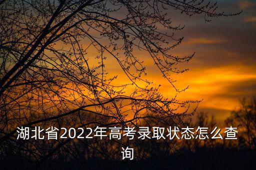 湖北省2022年高考錄取狀態(tài)怎么查詢