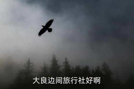 順之旅旅行社官網(wǎng)，大良邊間旅行社好啊