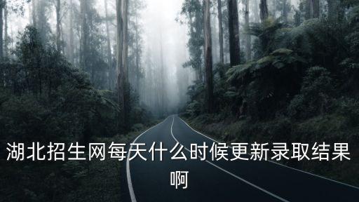 湖北招生網每天什么時候更新錄取結果啊