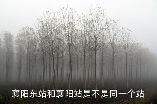 襄陽東站和襄陽站是不是同一個站