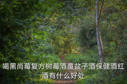 喝黑尚莓復方樹莓酒覆盆子酒保健酒紅酒有什么好處