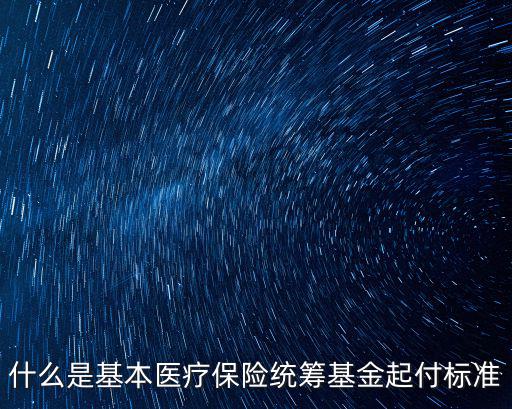 什么是基本醫(yī)療保險統(tǒng)籌基金起付標準