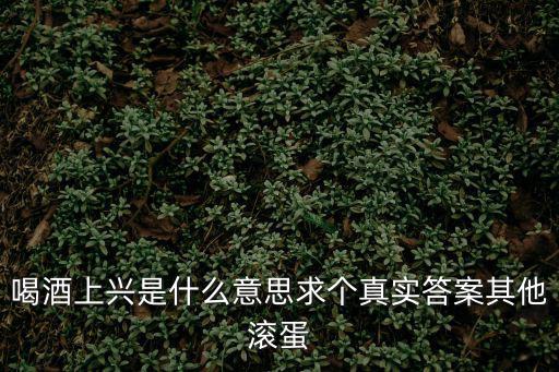喝酒上興是什么意思求個真實答案其他滾蛋