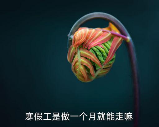 寒假工，寒假工有什么做