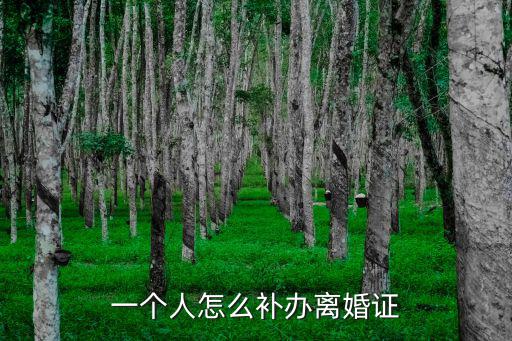 一個人怎么補辦離婚證，離婚證丟失一個人怎么補辦