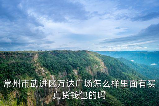 常州市武進區(qū)萬達廣場怎么樣里面有買真貨錢包的嗎