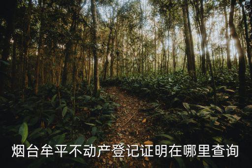 牟平政務網，牟平區如何網上辦理身份證加急