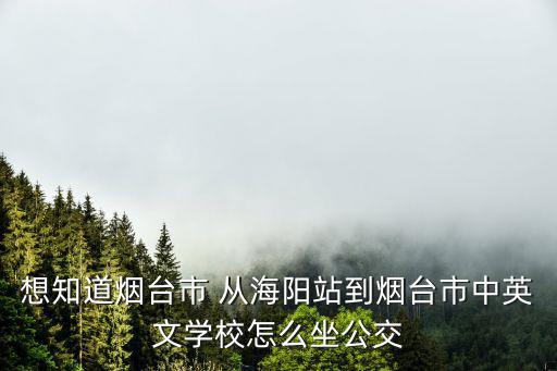 想知道煙臺市 從海陽站到煙臺市中英文學校怎么坐公交