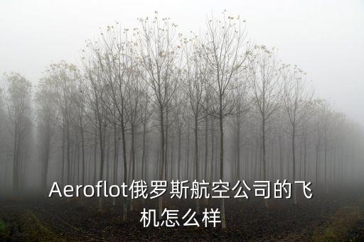 Aeroflot俄羅斯航空公司的飛機怎么樣