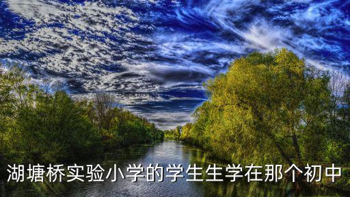 湖塘橋?qū)嶒炐W，湖塘橋?qū)嶒炐W的學生生學在那個初中