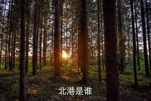 北港是誰
