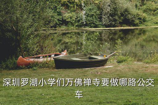 深圳羅湖小學(xué)們?nèi)f佛禪寺要做哪路公交車