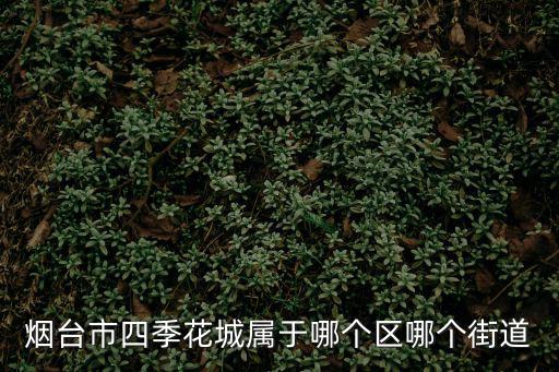 煙臺市四季花城屬于哪個區哪個街道