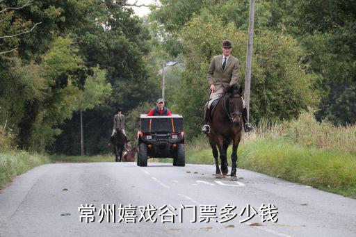 常州嬉戲谷門票，常州嬉戲谷門票多少錢