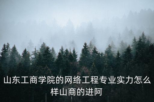 山東工商學院的網絡工程專業實力怎么樣山商的進阿