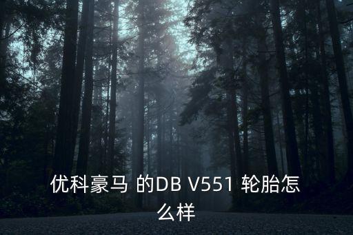 優(yōu)科豪馬輪胎，優(yōu)科豪馬 的DB V551 輪胎怎么樣