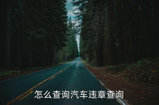 怎么查詢汽車違章查詢