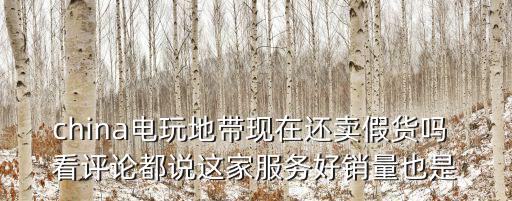 電玩地帶，淘寶上 china電玩地帶的東西好嗎