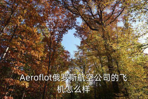 Aeroflot俄羅斯航空公司的飛機怎么樣