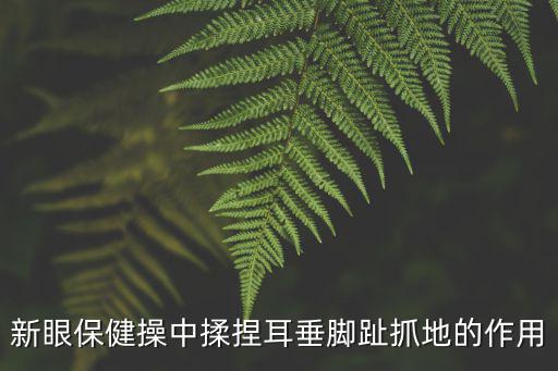 新眼保健操中揉捏耳垂腳趾抓地的作用