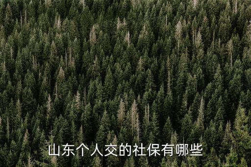 山東個(gè)人交的社保有哪些