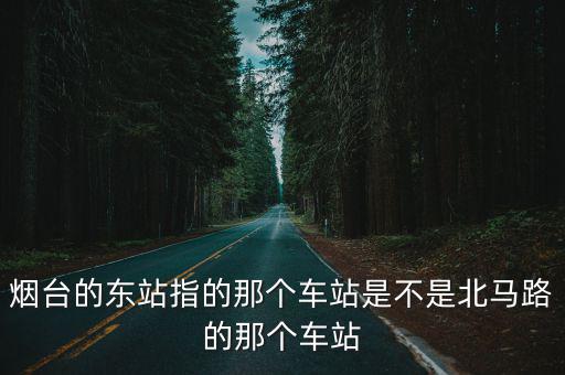 煙臺汽車東站，煙臺的東站指的那個車站是不是北馬路的那個車站