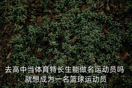 高中體育特長生，去高中當體育特長生能做名運動員嗎 就想成為一名籃球運動員
