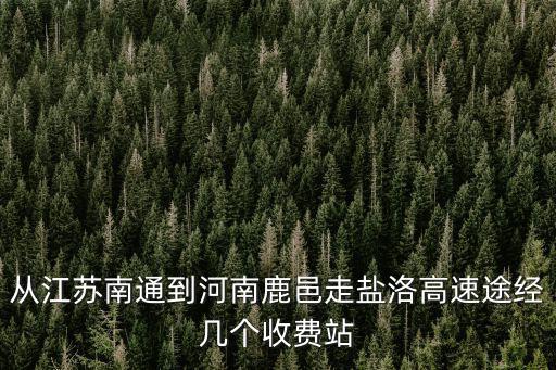 鹽洛高速，濟廣高速到鹽洛高速有幾個服務區