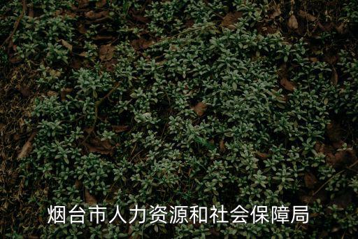 煙臺(tái)市人力資源和社會(huì)保障局