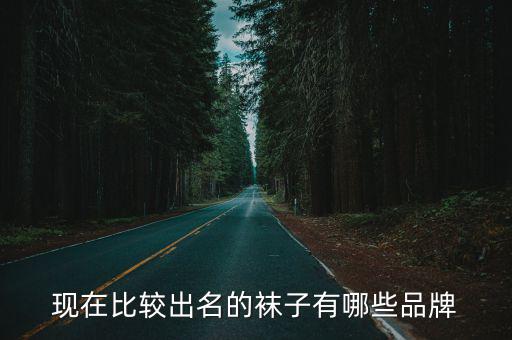 現在比較出名的襪子有哪些品牌