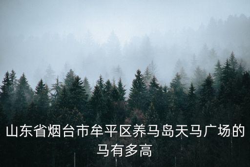 山東省煙臺(tái)市牟平區(qū)養(yǎng)馬島天馬廣場(chǎng)的馬有多高