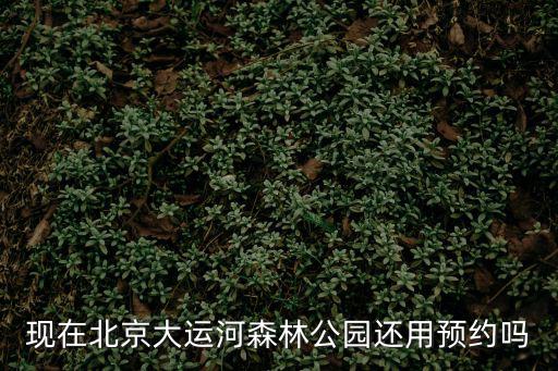 現在北京大運河森林公園還用預約嗎