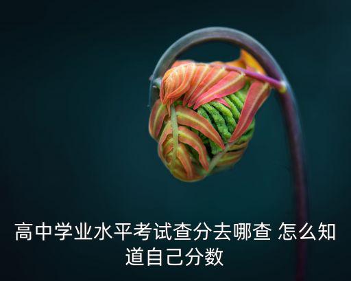 高中學業水平考試查分去哪查 怎么知道自己分數