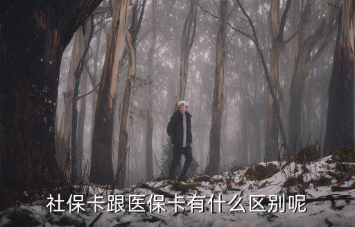 社保卡跟醫(yī)保卡有什么區(qū)別呢
