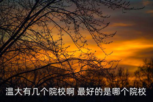 溫大有幾個院校啊 最好的是哪個院校