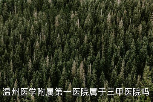 溫州附屬第一醫院，溫州醫學附屬第一醫院屬于三甲醫院嗎