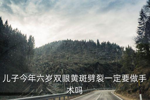 黃斑劈裂，兒子今年六歲雙眼黃斑劈裂一定要做手術嗎