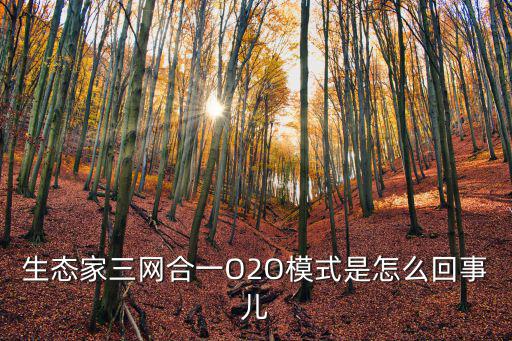 生態家三網合一O2O模式是怎么回事兒