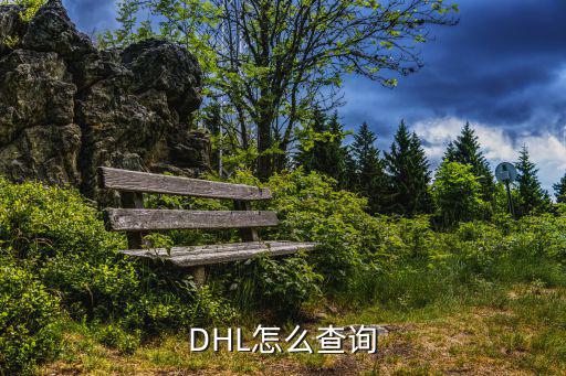 DHL怎么查詢